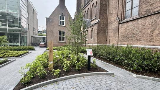 Klik voor een vergroting
